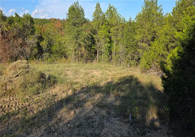 Photo 3 of Land for sale at 19001 Old Lowery Rd, Omaha, AR 72662 | MLS# 1361949 | Listing updated on 2026-09-14