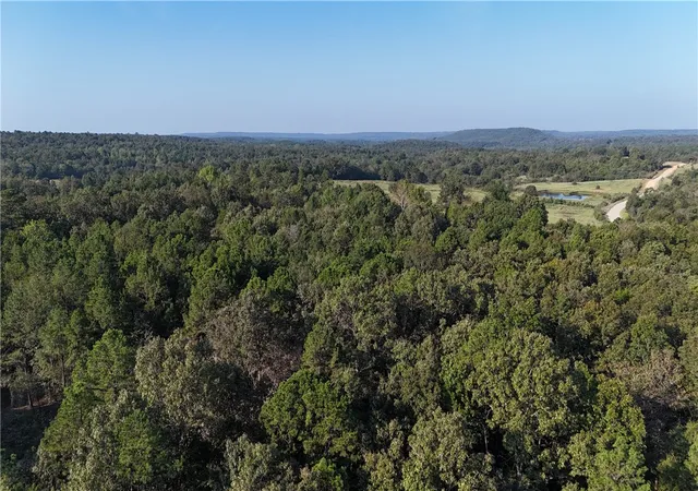 Photo 3 of Land for sale at 990 Mahan Dr, Damascus, AR 72039 | MLS# 1361987 | Listing updated on 2026-09-14