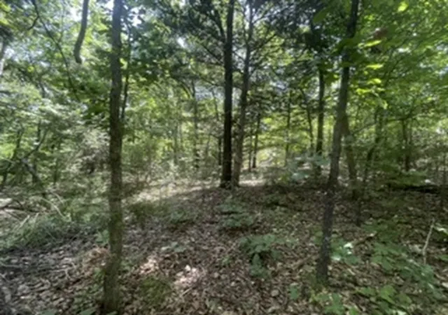 Photo 2 of Land for sale at 3000 Hwy 14n, Yellville, AR 72687 | MLS# 1362060 | Listing updated on 2026-10-05
