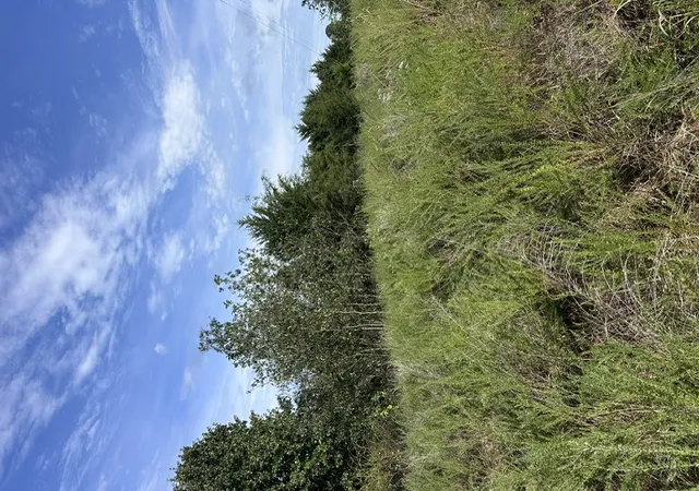 Photo 1 of Sale Pending at Tbd The Pines Rd, Springdale, AR 72764 | MLS# 1361960 | Listing updated on 2026-09-18