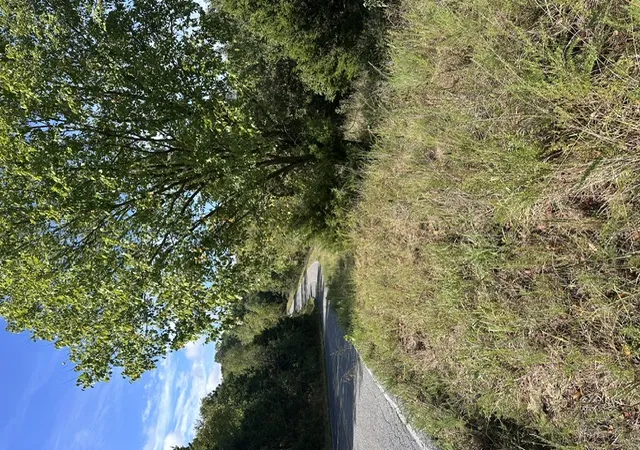 Photo 2 of Sale Pending at Tbd The Pines Rd, Springdale, AR 72764 | MLS# 1361960 | Listing updated on 2026-09-18