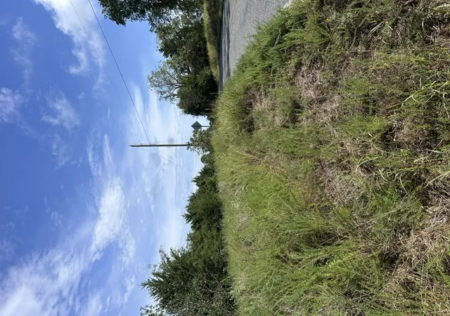 Photo 3 of Sale Pending at Tbd The Pines Rd, Springdale, AR 72764 | MLS# 1361960 | Listing updated on 2026-09-18
