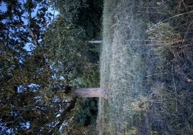 Photo 1 of Land for sale at Tr N 4 Oakwood Trl, Noel, MO 64854 | MLS# 1364378 | Listing updated on 2026-10-08