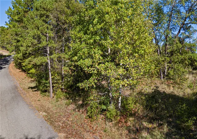 Photo 1 of Land for sale at 751 Lake Ridge, Russellville, AR 72802 | MLS# 1365253 | Listing updated on 2026-10-17
