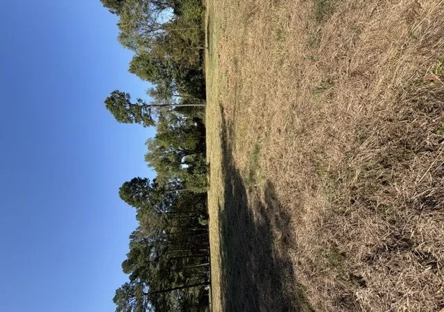 Photo 2 of Land for sale at 395 Crossgate Dr, Russellville, AR 72802 | MLS# 1365594 | Listing updated on 2026-10-20