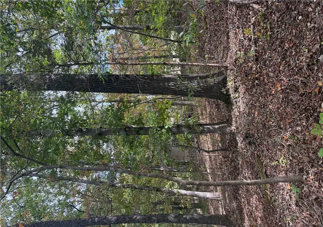 Photo 2 of Land for sale at 18 Hessle Cir, Bella Vista, AR 72714 | MLS# 1365811 | Listing updated on 2026-10-21