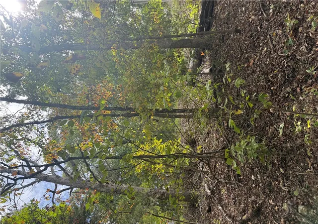Photo 3 of Land for sale at 18 Hessle Cir, Bella Vista, AR 72714 | MLS# 1365811 | Listing updated on 2026-10-21