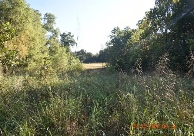 Photo 3 of Land for sale at Tyler Rd, Madill, OK 73446 | MLS# 2546383 | Listing updated on 2026-08-31