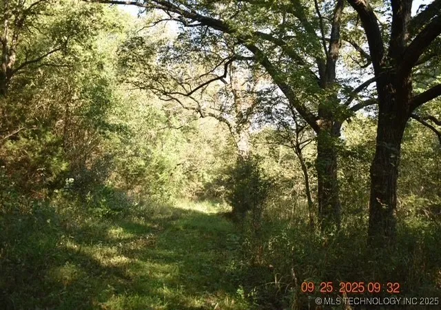 Photo 4 of Land for sale at Tyler Rd, Madill, OK 73446 | MLS# 2546383 | Listing updated on 2026-08-31