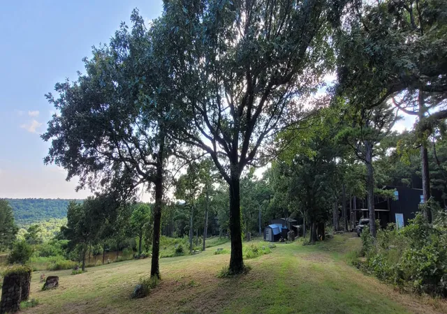 Photo 1 of Single family home for sale at 49536 State Hwy 82, Talihina, OK 74571 | MLS# 2549348 | Listing updated on 2026-09-03