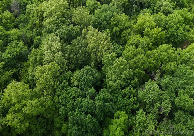 Photo 2 of Land for sale at 2477 Round Up, Ratliff City, OK 73481 | MLS# 2549884 | Listing updated on 2026-09-11