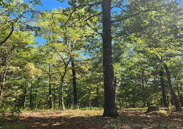 Photo 3 of Land for sale at 23174 Flint Ridge Dr, Kansas, OK 74347 | MLS# 2550927 | Listing updated on 2026-09-04