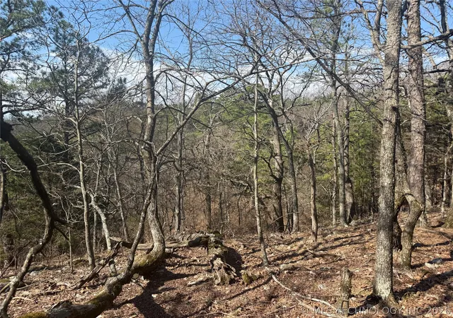 Photo 2 of Land for sale at 00 678 Road, Colcord, OK 74338 | MLS# 2608029 | Listing updated on 2026-08-31