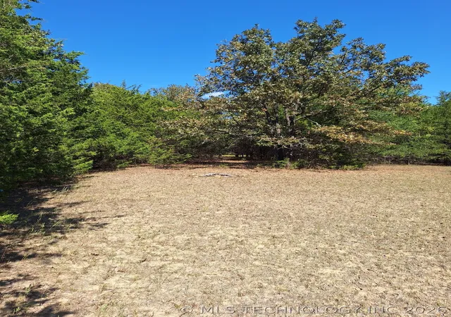 Photo 3 of Land for sale at 00 County Rd 3665, Allen, OK 74825 | MLS# 2608388 | Listing updated on 2026-09-25