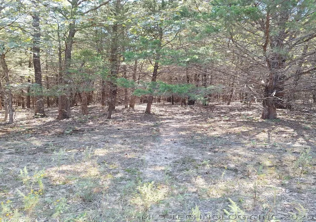 Photo 3 of Land for sale at 00 County Rd 3665, Allen, OK 74825 | MLS# 2608388 | Listing updated on 2026-09-25