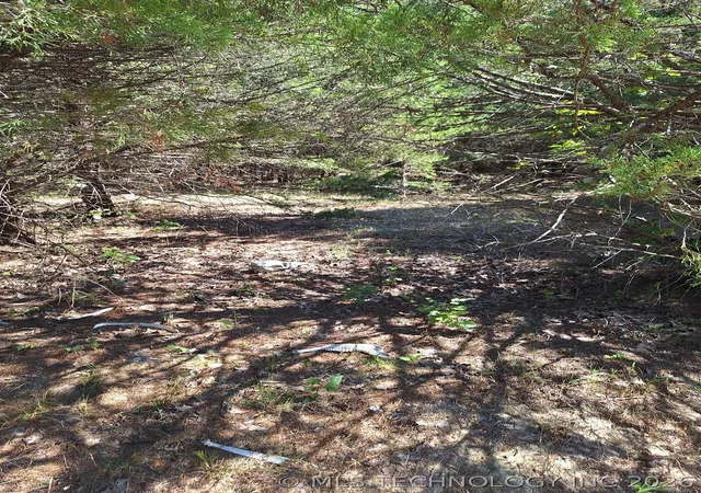 Photo 4 of Land for sale at 00 County Rd 3665, Allen, OK 74825 | MLS# 2608388 | Listing updated on 2026-09-25