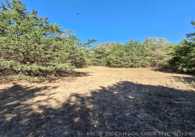 Photo 9 of Land for sale at 00 County Rd 3665, Allen, OK 74825 | MLS# 2608388 | Listing updated on 2026-09-25