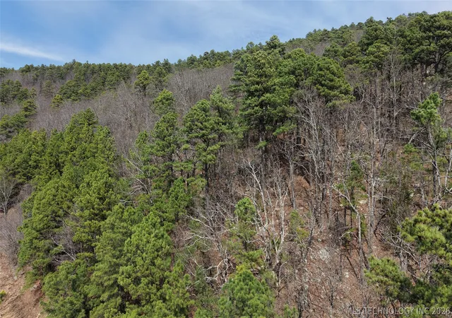 Photo 1 of Land for sale at Ne 1132 Avenue, Wilburton, OK 74578 | MLS# 2609588 | Listing updated on 2026-09-08
