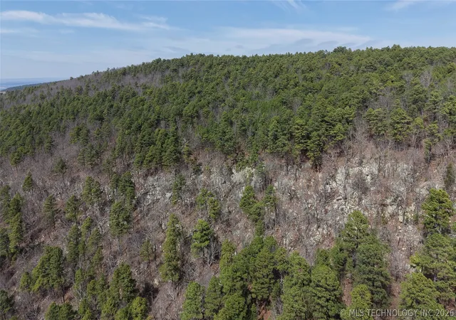 Photo 3 of Land for sale at Ne 1132 Avenue, Wilburton, OK 74578 | MLS# 2609588 | Listing updated on 2026-09-08