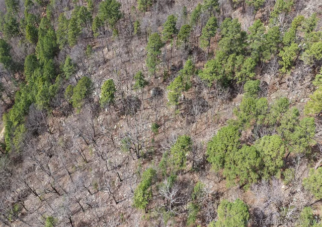 Photo 4 of Land for sale at NE 1132 Avenue, Wilburton, OK 74578 | MLS# 2609588 | Listing updated on 2026-09-08