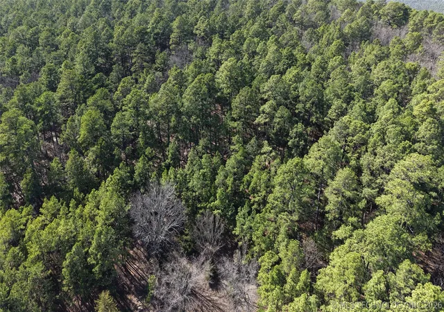 Photo 3 of Land for sale at (Undisclosed), Red Oak, OK 74563 | MLS# 2609591 | Listing updated on 2026-09-08