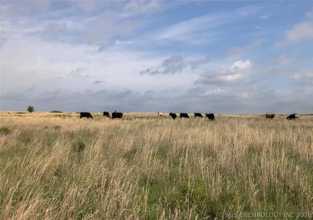 Photo 3 of Land for sale at 0001 S 336 Road, Pawnee, OK 73061 | MLS# 2614264 | Listing updated on 2026-09-04