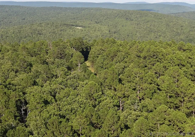 Photo 3 of Land for sale at (Undisclosed), Wilburton, OK 74578 | MLS# 2623078 | Listing updated on 2026-08-31