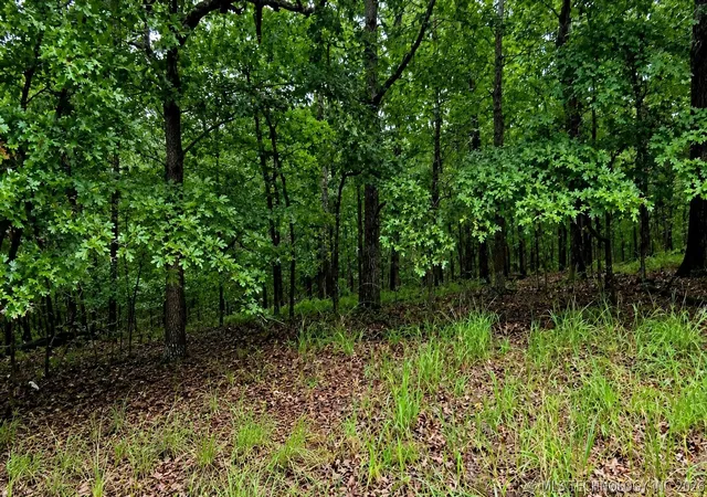 Photo 3 of Land for sale at 00 Deer Path Rd, Kansas, OK 74347 | MLS# 2623011 | Listing updated on 2026-08-31