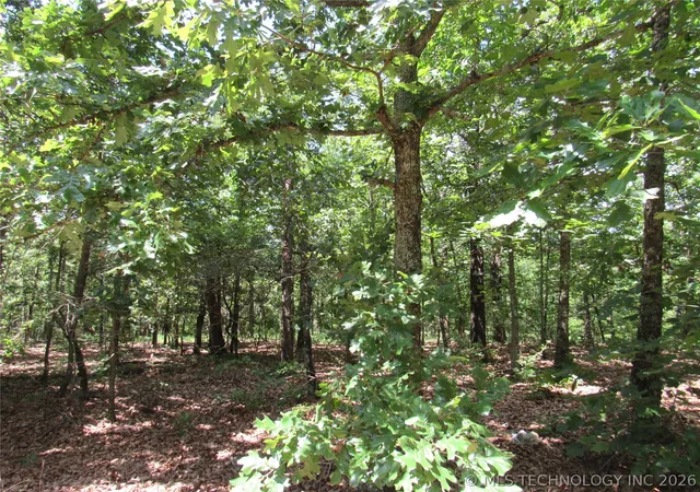 Photo 2 of Land for sale at (Undisclosed), Proctor, OK 74457 | MLS# 2624169 | Listing updated on 2026-09-04