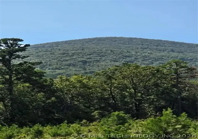 Photo 2 of Land for sale at Rural Route, Heavener, OK 74947 | MLS# 2624285 | Listing updated on 2026-10-03