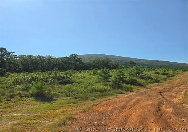 Photo 3 of Land for sale at Rural Route, Heavener, OK 74947 | MLS# 2624285 | Listing updated on 2026-10-03
