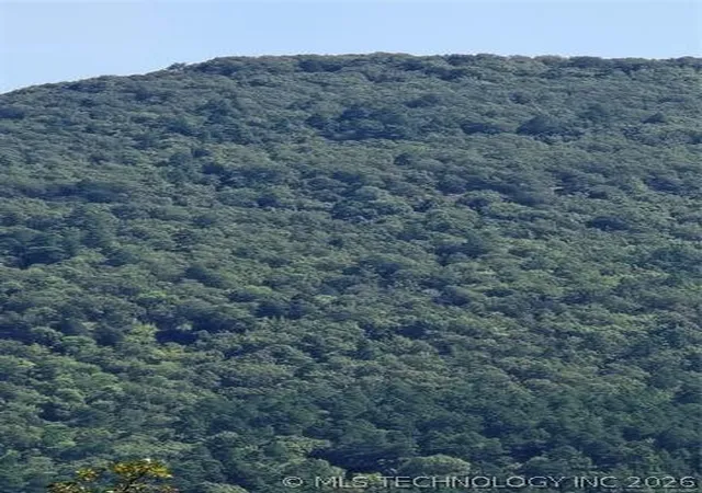 Photo 3 of Land for sale at Rural Route, Heavener, OK 74947 | MLS# 2624285 | Listing updated on 2026-10-03