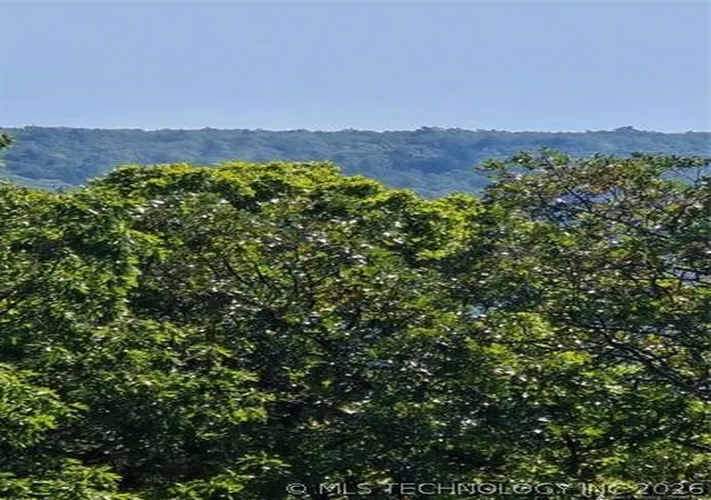 Photo 4 of Land for sale at Rural Route, Heavener, OK 74947 | MLS# 2624285 | Listing updated on 2026-10-03