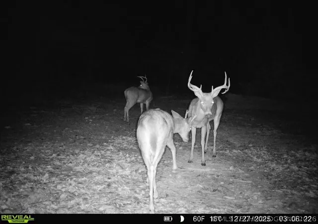 Photo 3 of Land for sale at 00 N 4710 Road, Watts, OK 74964 | MLS# 2625151 | Listing updated on 2026-09-04