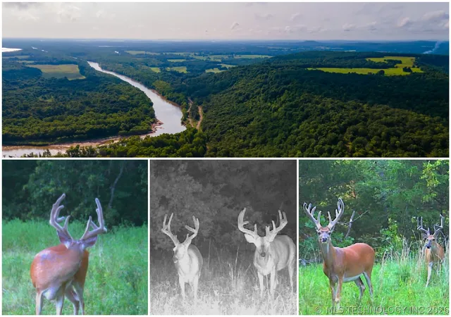Photo 1 of Land for sale at 0000 N 4040 Road, Stidham, OK 74461 | MLS# 2627657 | Listing updated on 2026-09-02