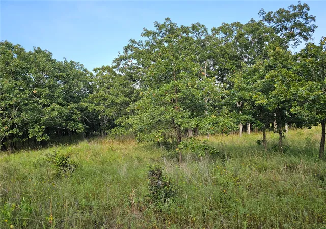 Land for sale at 0000 S 465th West Ave, Bristow, OK 74010 | MLS# 2629987