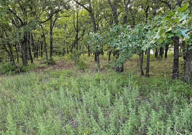 Photo 3 of Land for sale at 0000 S 465th West Ave, Bristow, OK 74010 | MLS# 2629987 | Listing updated on 2026-08-29