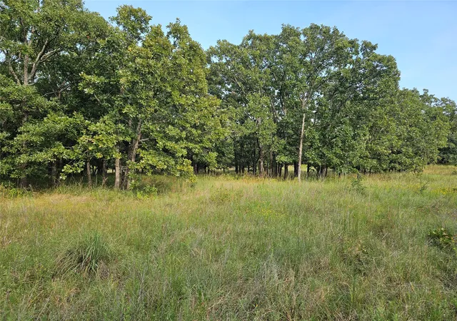 Photo 4 of Land for sale at 0000 S 465th West Ave, Bristow, OK 74010 | MLS# 2629987 | Listing updated on 2026-08-29