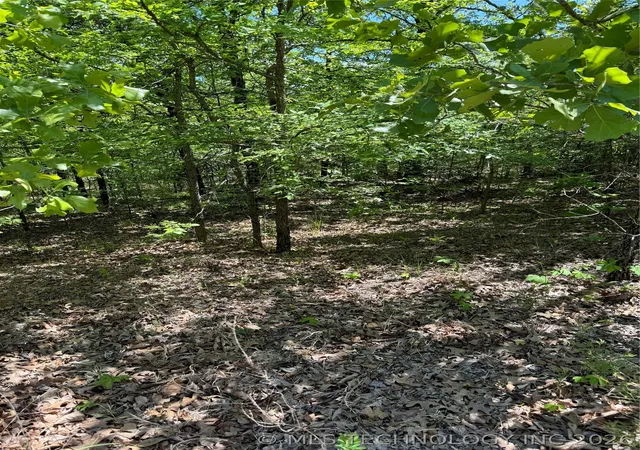 Photo 1 of Land for sale at 161718 S 4531 Road, Vian, OK 74962 | MLS# 2630395 | Listing updated on 2026-09-04