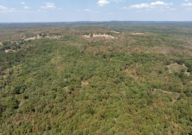 Photo 3 of Land for sale at 0000 4530 Road, Vian, OK 74962 | MLS# 2630973 | Listing updated on 2026-09-18