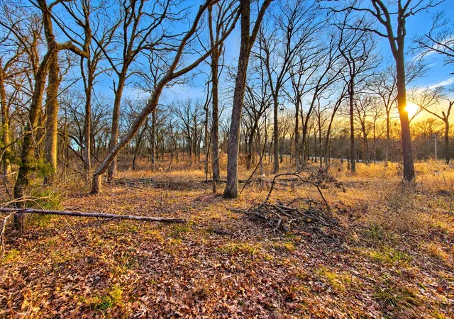 Photo 1 of Land for sale at 0 Cobb Rd, Kingston, OK 73439 | MLS# 2631387 | Listing updated on 2026-09-12