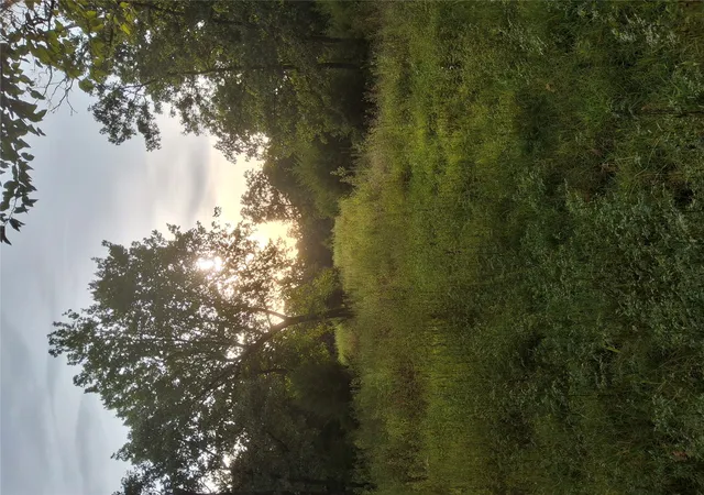 Photo 2 of Land for sale at 0000 417th Westavenue, Mannford, OK 74044 | MLS# 2632066 | Listing updated on 2026-09-10