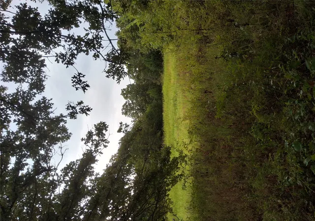 Photo 4 of Land for sale at 0000 417Th Westavenue, Mannford, OK 74044 | MLS# 2632066 | Listing updated on 2026-09-10