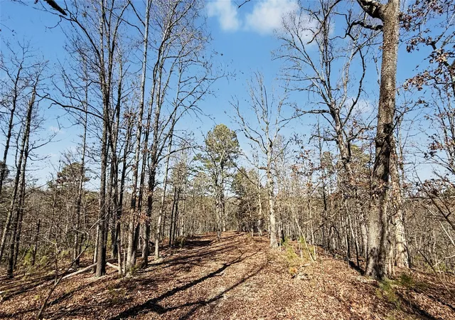 Photo 3 of Land for sale at 930 Pine Bark Trl, Kansas, OK 74347 | MLS# 2632055 | Listing updated on 2026-08-31