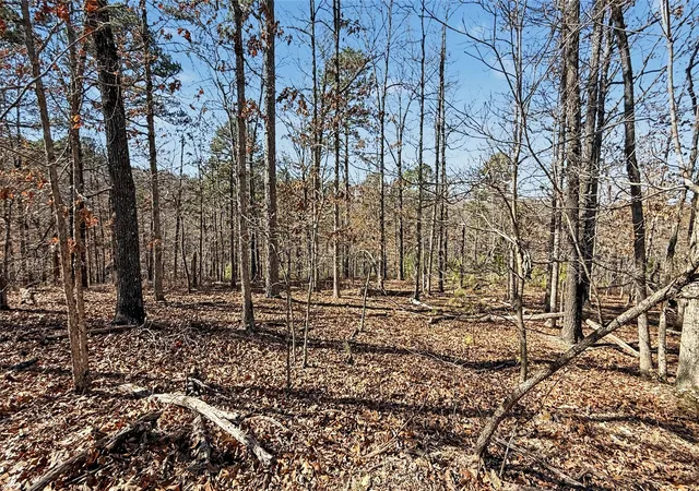 Photo 4 of Land for sale at 930 Pine Bark Trl, Kansas, OK 74347 | MLS# 2632055 | Listing updated on 2026-08-31