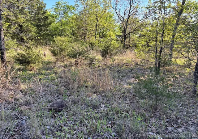 Photo 2 of Land for sale at 100752 4497 Road, Gore, OK 74435 | MLS# 2632277 | Listing updated on 2026-08-31