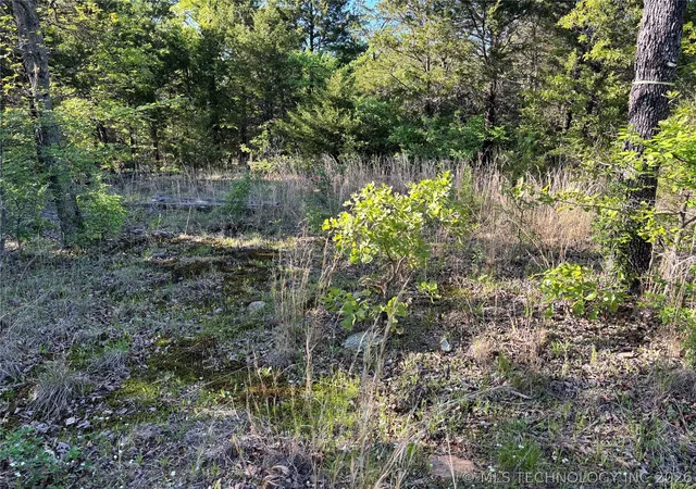 Photo 4 of Land for sale at 100752 4497 Road, Gore, OK 74435 | MLS# 2632277 | Listing updated on 2026-08-31