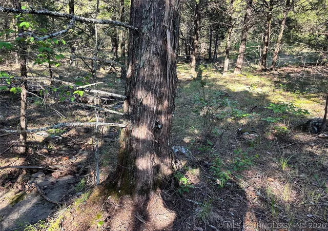 Photo 5 of Land for sale at 100752 4497 Road, Gore, OK 74435 | MLS# 2632277 | Listing updated on 2026-08-31