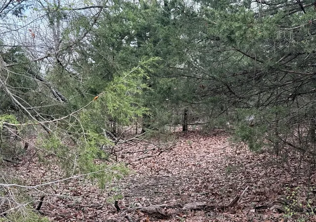 Photo 3 of Land for sale at E Davis St, Eufaula, OK 74432 | MLS# 2632637 | Listing updated on 2026-09-02