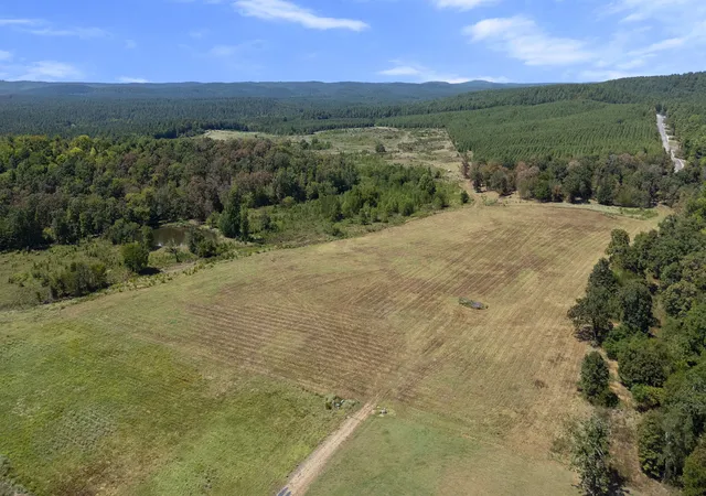 Photo 2 of Land for sale at 0 Rutty Pine Ridge, Broken Bow, OK 74728 | MLS# 2632572 | Listing updated on 2026-09-03